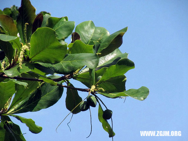 梦见火箭发射失败_周公解梦梦到火箭发射失败