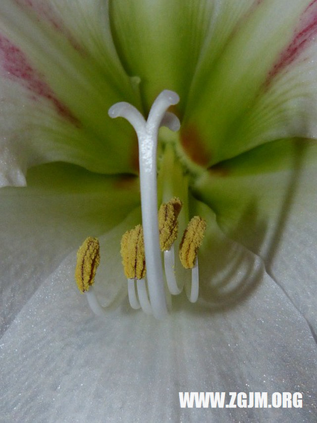 梦见打扫教室卫生