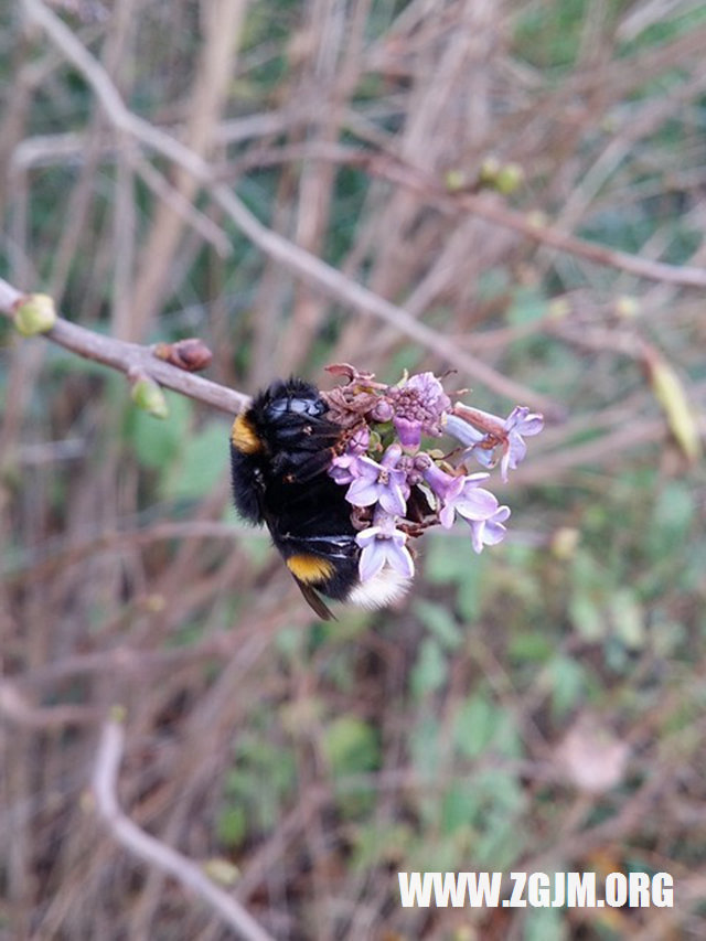 梦见红裙子_周公解梦梦到红裙子是什么意思_