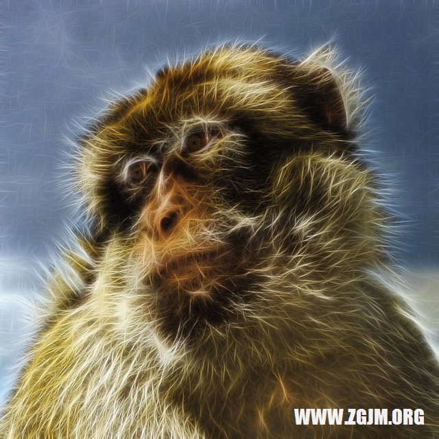 梦魇边缘的警示，解析梦见黄鼠狼尿尿到嘴里的深层含义