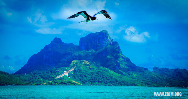 做梦梦到着火是什么，一场梦境的深层解析与心理启示