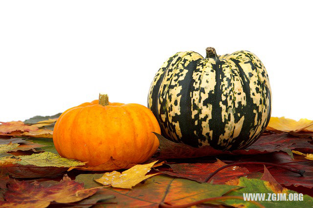 梦见饺子露馅老公出轨