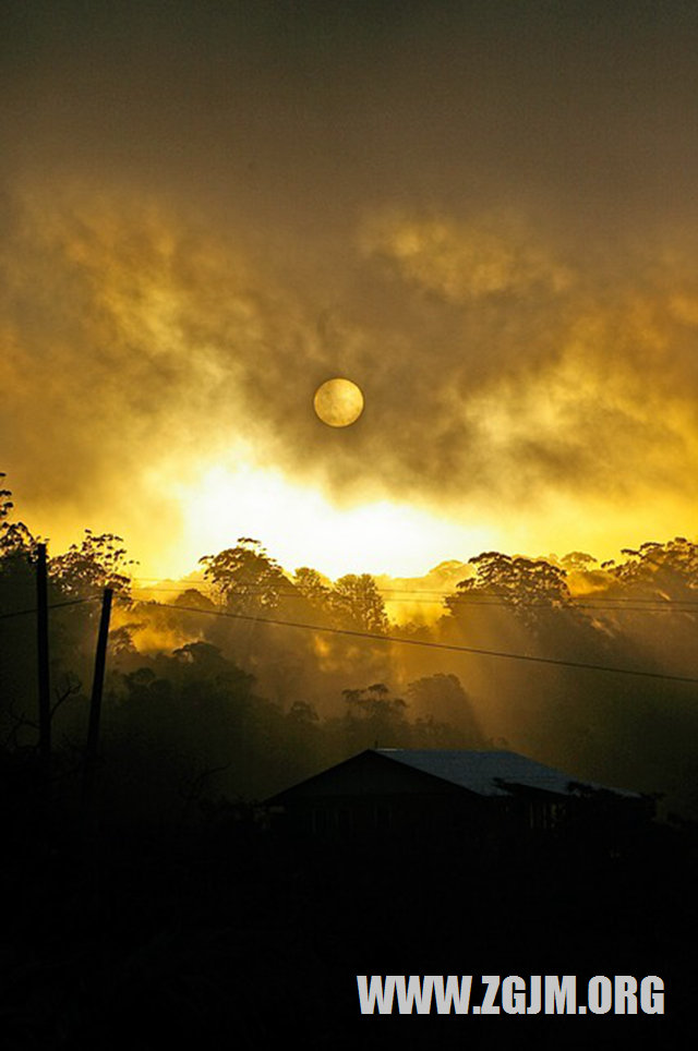 梦见已婚女人包饺子_周公解梦梦到已婚女人包