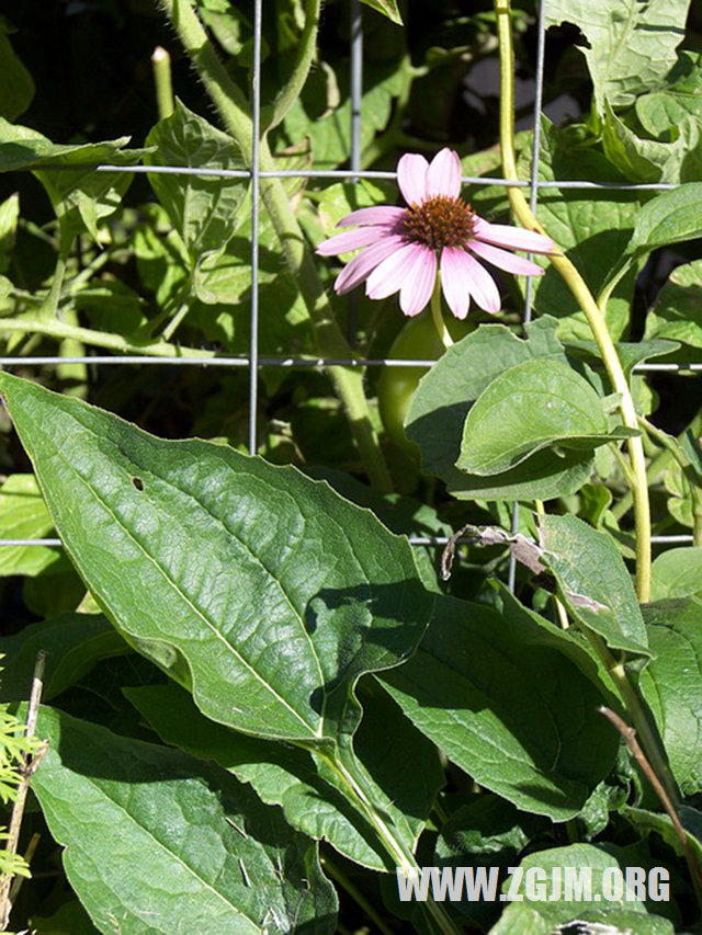 梦见回到高中_周公解梦梦到回到高中是什么意