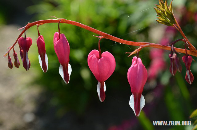 梦见和老公分手了