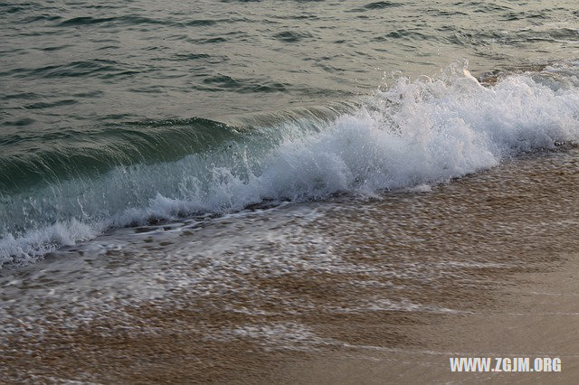 周公解梦，梦见涨潮与抓鱼的深层寓意与启示