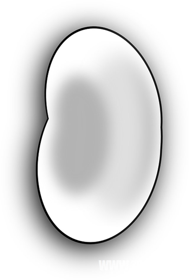 梦见牙齿掉了还有血_周公解梦梦到牙齿掉了还