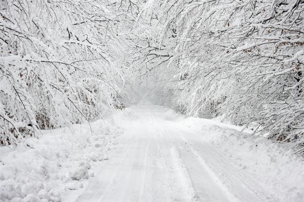 梦见大雪纷飞