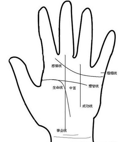 看相大全 手相 抽签算命占卜   左手中断右手完整,表示生命将发生严重