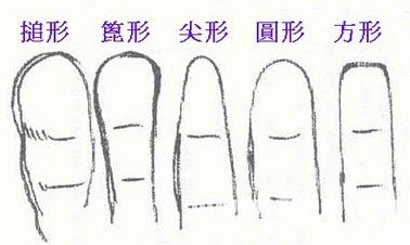 看相大全 手相 抽签算命占卜     手指形状看性格   方形:方形指的人