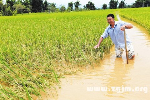 夢見水淹 溺水