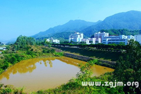 夢見渾水