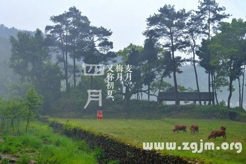 夢見四月