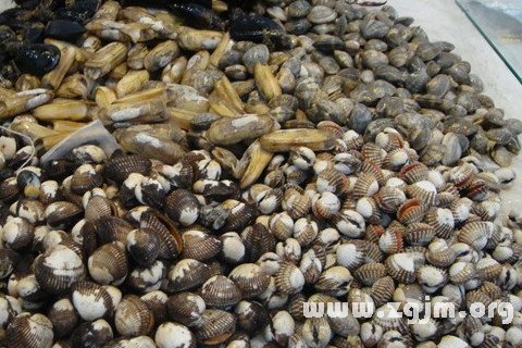 海鲜贝壳图片大全_海鲜贝壳样子_海鲜贝壳图片(2)
