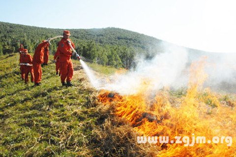 夢見用水澆火