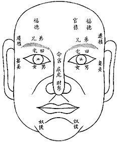 面相分析13十二命宫图