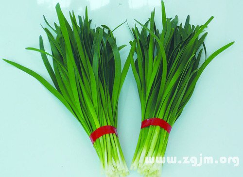 梦见拔韭菜，探索梦境中的丰收与自我成长