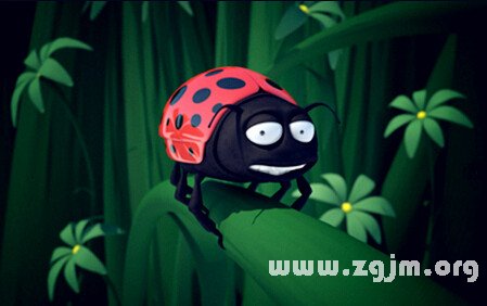 周公解梦，梦见自己肉眼里长出虫——深层心理寓意的探索与解析