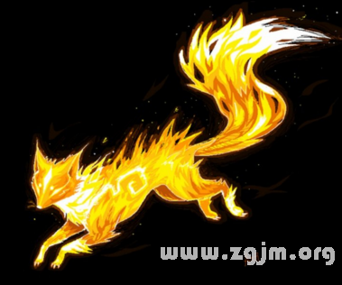 火狐狸纹身手稿内容图片分享