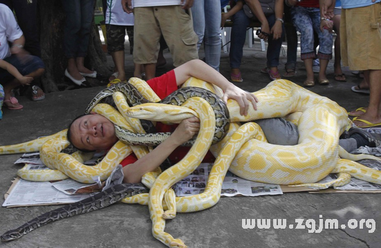 梦境解析,梦见很多尸体坐起来又倒下去 梦境解析,梦见很多尸体坐起来又倒下去