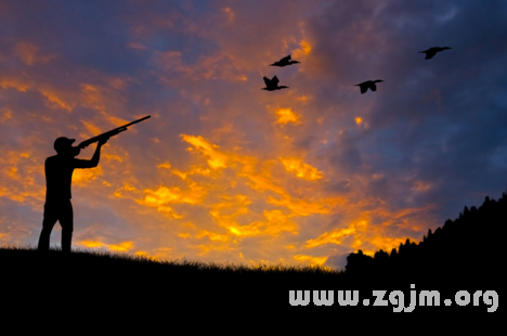 梦回林间，打鸟未果，却意外收获——解析梦见打鸟没打到抓到了一只鸟的深层含义