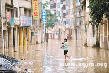 梦见水灾