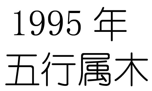 1995年出生是什么命五行属什么