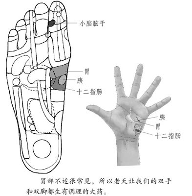 手上生命线预知疾病 双手反射区调理健康