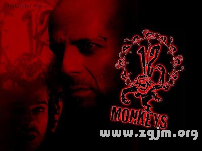 十二猴子电影解析