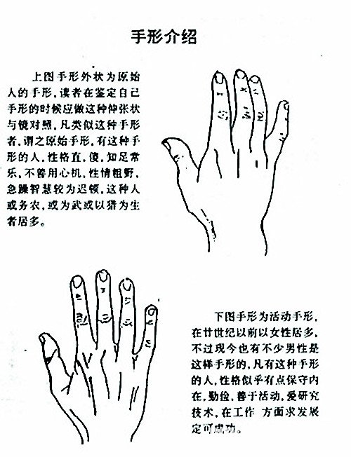 其特征为手指比较一般的手肥短厚硬,指头粗纯笨拙,手形短而弯曲,皮肤