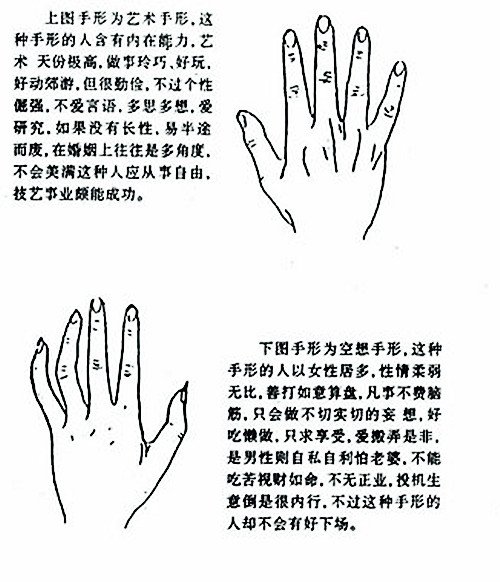 其特征为手指比较一般的手肥短厚硬,指头粗纯笨拙,手形短而弯曲,皮肤