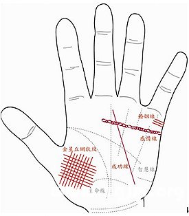 可以从几个掌纹来观察,第一个是感情线,若感情线杂乱,有锁链纹的话