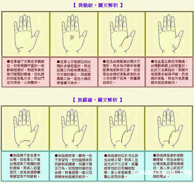 成涛掌相异动纹和放纵线