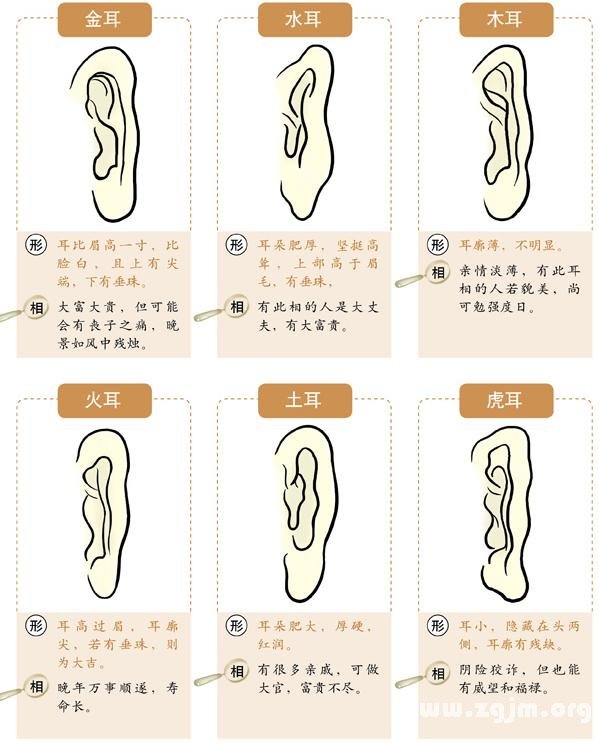 图解耳的形状种类
