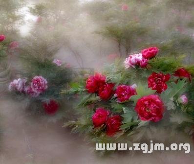 小议韦特式与马赛式的死神_塔罗牌