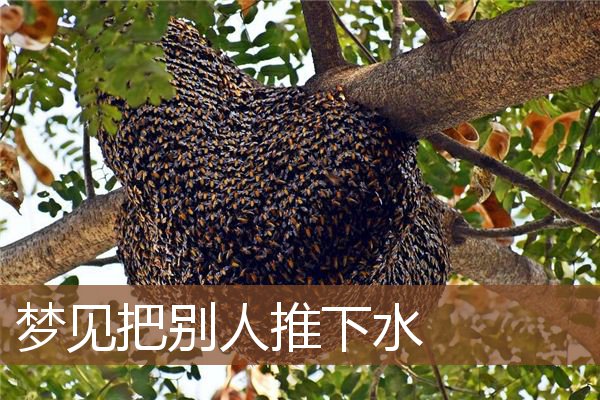 梦见把别人推下水 周公解梦梦到把别人推下水是什么意思 做梦梦见把别人推下水好不好 周公解梦官网