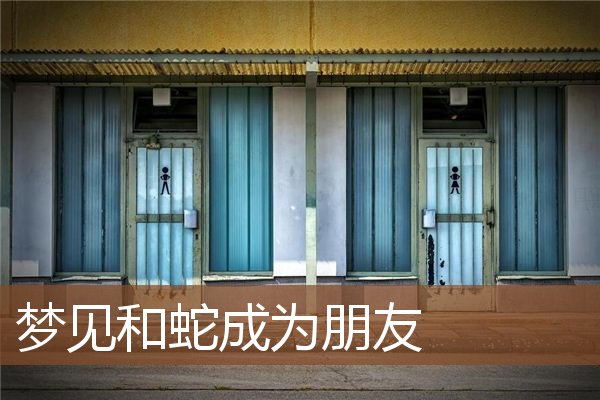 和蛇成为朋友是什么意思_做梦梦见和蛇成为朋友好不好_周公解梦官网