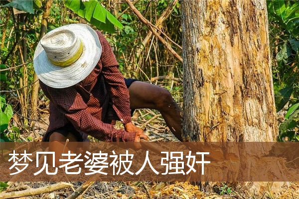 梦见老婆被人强奸