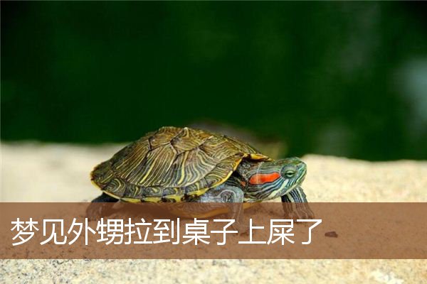 梦见外甥拉到桌子上屎了