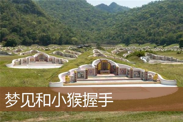 梦见和小猴握手 周公解梦梦到和小猴握手是什么意思 做梦梦见和小猴握手好不好 周公解梦官网