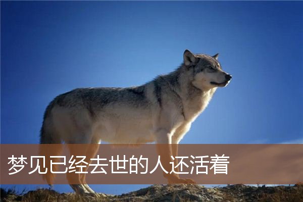 梦见自己活着,等着看世界末日来临是怎么一回事,这是警告你不要过去