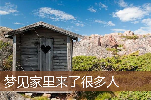 梦见家里来了很多人