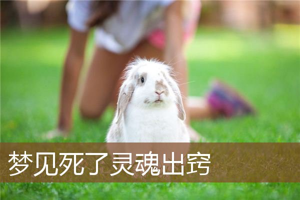 (ṩ)   ξ3   μ