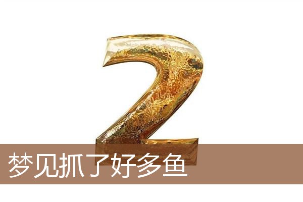 梦见抓了好多鱼_周公解梦梦到抓了好多鱼是什么意思_做梦梦见抓了好多