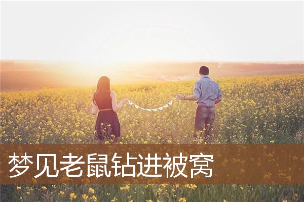 梦见老鼠钻进被窝_周公解梦梦到老鼠钻进被窝是什么意思_做梦梦见老鼠