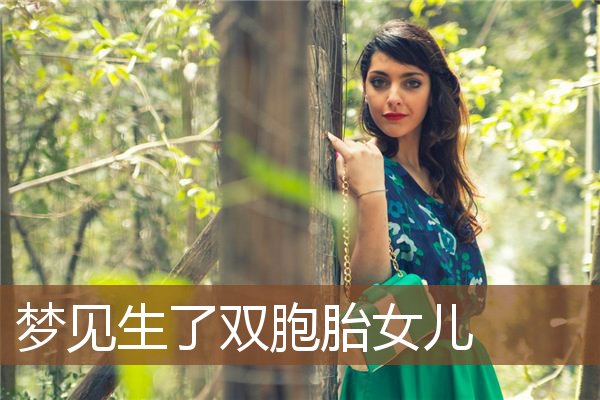 梦见生了双胞胎女儿