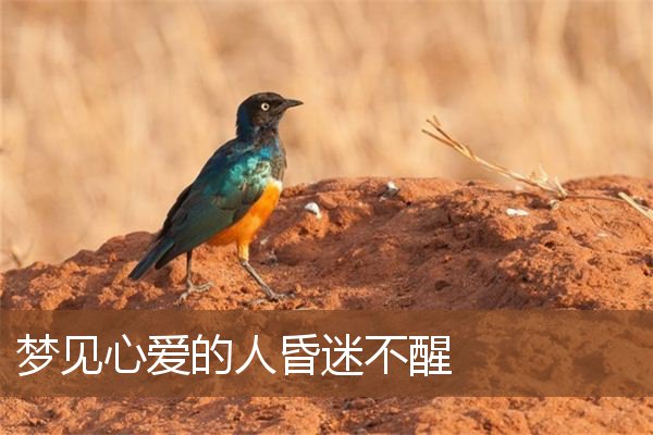 梦见心爱的人昏迷不醒