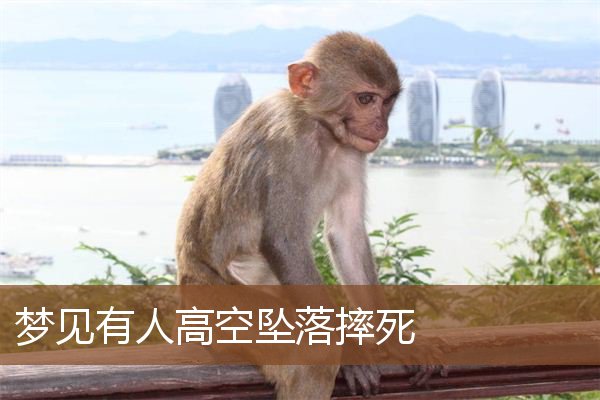 梦见有人高空坠落摔死_周公解梦梦到有人高空坠落摔死是什么意思_做梦