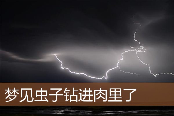 梦见虫子钻进肉里了