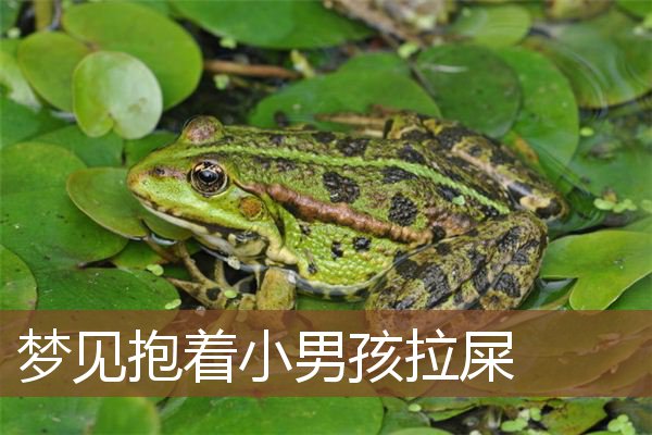 梦见抱着小男孩拉屎